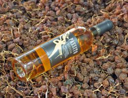 Immagine 3 di TERRE SICILIANE PASSITO I.G.P. CANTINE VINCI