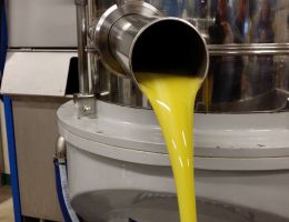 Immagine 2 di OLIO EXTRAVERGINE DI OLIVA  D.O.P. CHIANTI CLASSICO ECCELLENTE QUALITA'