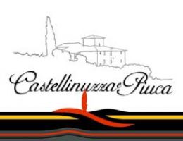 Immagine 4 di OLIO EXTRAVERGINE DI OLIVA  D.O.P. CHIANTI CLASSICO ECCELLENTE QUALITA'