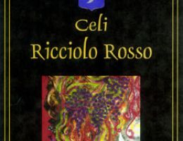 Immagine 1 di TERRE SICILIANE NERO D'AVOLA I.G.T. RICCIOLO ROSSO TOMMASO ANSALDO CELI VINI