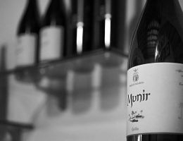 Immagine 1 di TERRE SICILANE GRILLO I.G.P MUNIR