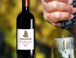 Immagine 1 di TERRE SICILIANE NERO D'AVOLA I.G.T. CORALLOVECCHIO