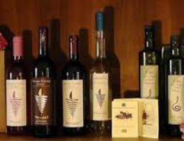 Immagine 4 di OLIO EXTRA VERGINE DI OLIVA BIOLOGICO