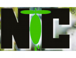 Immagine 2 di OLIO EXTRAVERGINE DI OLIVA MONTE ETNEA D.O.P. DI CATEGORIA SUPERIORE CUSCUNA'