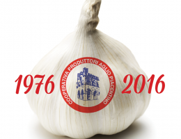 Immagine 1 di Aglio Bianco Piacentino