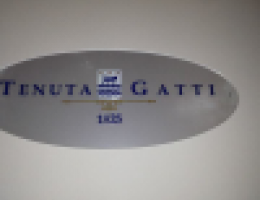 Immagine 2 di MAMERTINO ROSSO D.O.C. CURPANE' GATTI VINI