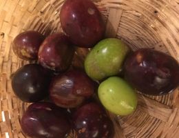 Immagine 3 di OLIO EXTRAVERGINE DI OLIVA BLEND 100% ITALIANO CATEGORIA SUPERIORE