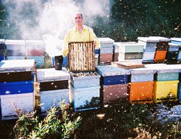 Immagine 1 di Miele di Zafferana Etna