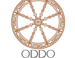 Immagine 3 di OLIO EXTRAVERGINE DI OLIVA D.O.P. VALLI TRAPANESI DI CATEGORIA SUPERIORE