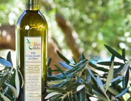 Immagine 4 di OLIO EXTRAVERGINE DI OLIVA D.O.P. VALLI TRAPANESI DI CATEGORIA SUPERIORE