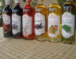 Immagine 1 di ROSOLIO DI FICHI D'INDIA