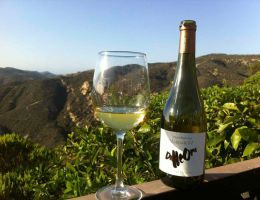 Immagine 1 di MONTE LESSINO BIANCO D.O.C. MAPPALE 77 TENUTA DALLE ORE