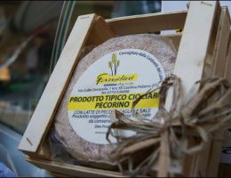 Immagine 1 di PECORINO GRAN RISERVA