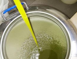 Immagine 3 di OLIO EXTRAVERGINE DI OLIVA BLEND DI QUALITA' SUPERIORE