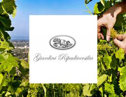 Immagine 2 di I.G.P. COSTA TOSCANA BIANCO COLLI E MARE