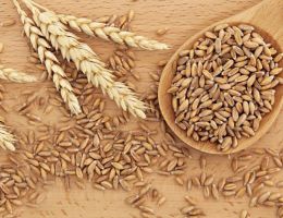 Immagine 1 di FARINA DI FARRO DICOCCO INTEGRALE DEL CASENTINO