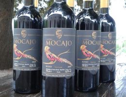 Immagine 1 di MOCAJO TOSCANA ROSSO  I.G.T.