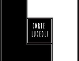 Immagine 2 di ACQUAVITE DI VISCIOLA