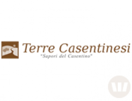 Immagine 4 di CECI DEL CASENTINO