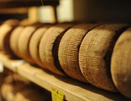 Immagine 3 di CANESTRATO DI MOLITERNO I.G.P.