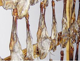 Immagine 1 di VIOLINO DI CAPRA PROSCUTTIFICIO DEL PEDRO PERA