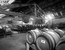 Immagine 2 di ACETO TRADIZIONALE DI REGGIO EMILIA D.O.P.