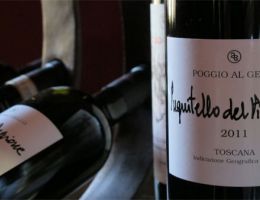 Immagine 1 di PUGNITELLO DEL PIAGGIONE I.G.T. TOSCANA ROSSO