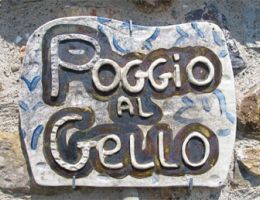 Immagine 2 di PUGNITELLO DEL PIAGGIONE I.G.T. TOSCANA ROSSO