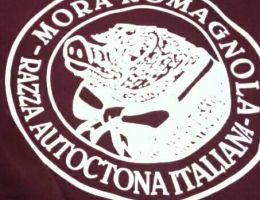 Immagine 2 di PROSCIUTTO CRUDO DI MORA ROMAGNOLA SALUMIFICIO DELVECCHIO