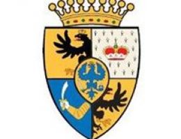 Immagine 2 di OLIO EXTRAVERGINE DI OLIVA CATEGORIA SUPERIORE