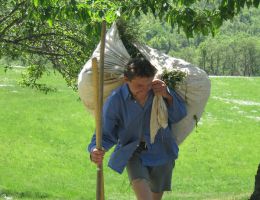 Immagine 1 di ROBIOLA MUFFETTA IN CARBONE VEGETALE