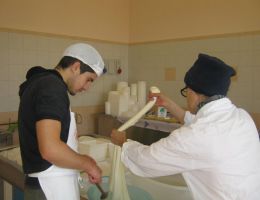 Immagine 4 di ROBIOLA MUFFETTA IN CARBONE VEGETALE