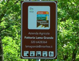 Immagine 5 di ROBIOLA MUFFETTA IN CARBONE VEGETALE