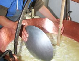 Immagine 1 di FORMAGGIO BRANZI CASEIFICIO MONACI