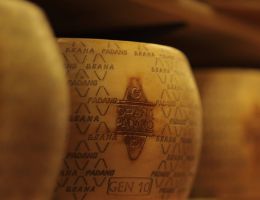 Immagine 1 di GRANA PADANO D.O.P. RISERVA QUALITA' CA.BRE CASEARIA