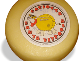 Immagine 1 di CACIOTTA SANTA VITTORIA