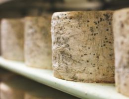 Immagine 1 di GORGONZOLA MALGHESE D.O.P. CASEIFICO ANGELO CROCE