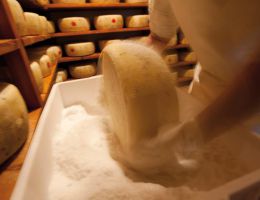 Immagine 1 di PIACENTINU ENNESE D.O.P. CASEIFICIO IL CAVALCATORE