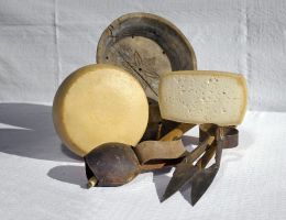 Immagine 1 di CARLOTTA DA LATTE DI PECORA NERA DI ARBUS