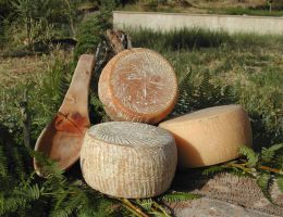 Immagine 1 di PECORINO DI MORANO