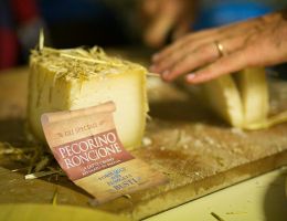 Immagine 1 di PECORINO RONCIONE