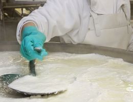 Immagine 1 di RICOTTA  ROMANA D.O.P.