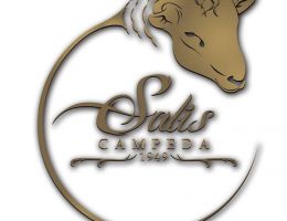 Immagine 2 di PECORINO BALARI