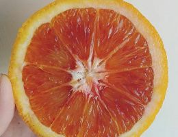 Immagine 1 di MARMELLATA DI ARANCE