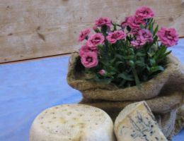 Immagine 2 di ERBORINATO