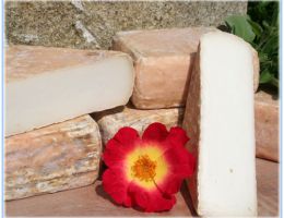 Immagine 1 di FORMAGGIO GROTTE DI MONTEGALDA CASEIFICIO LA CAPRERIA