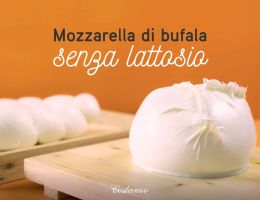 Immagine 3 di MOZZARELLA COSTANZO DI BUFALA SENZA LATTOSIO