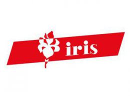 Immagine 2 di FORMAGGIO IL PIONIERE