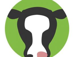 Immagine 2 di RISO ZIPO VARIETA' CARNAROLI AGRI ZIPO