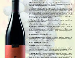 Immagine 1 di Bologna Rosso D.O.C.